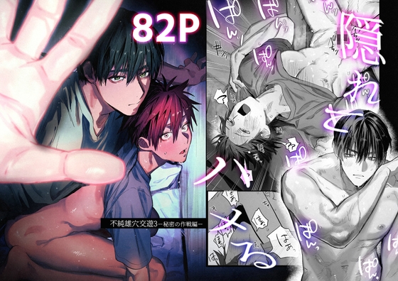 不純雄穴交遊3 カバー画像