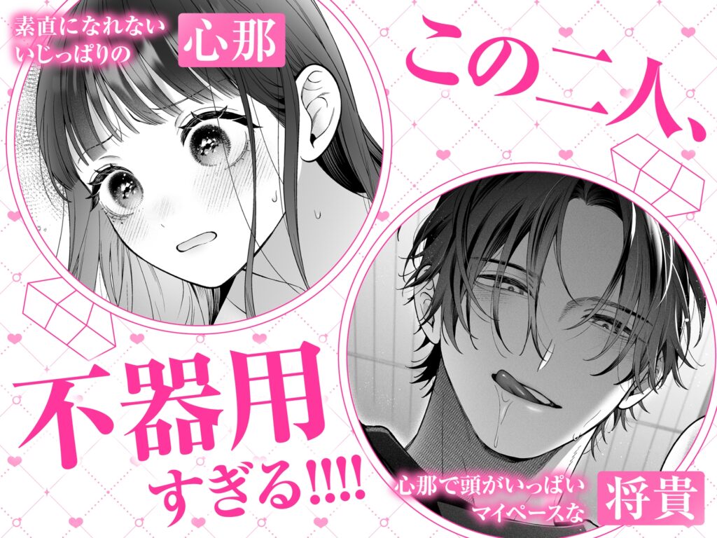 続・会いに行った裏アカ男子が大嫌いな婚約者で詰んだ。 カバー画像